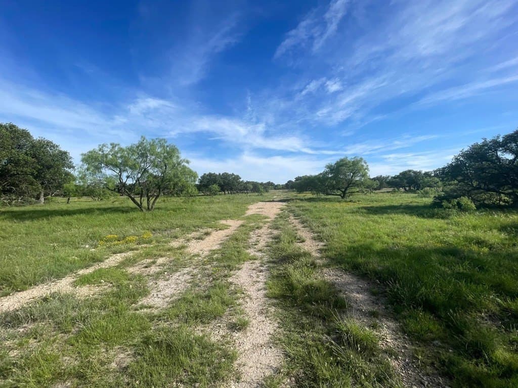 100 acres in Schleicher County - photo 16