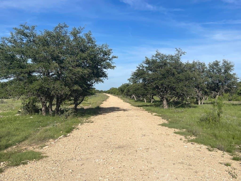 100 acres in Schleicher County - photo 2