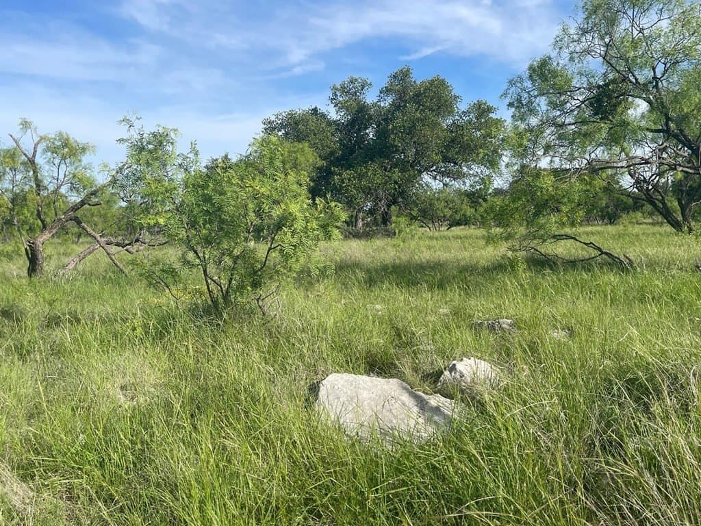 100 acres in Schleicher County - photo 12