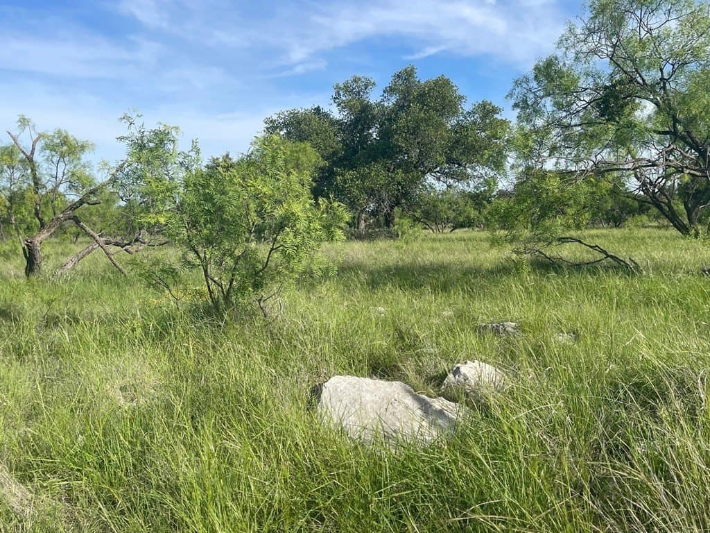 100 acres in Schleicher County - photo 29
