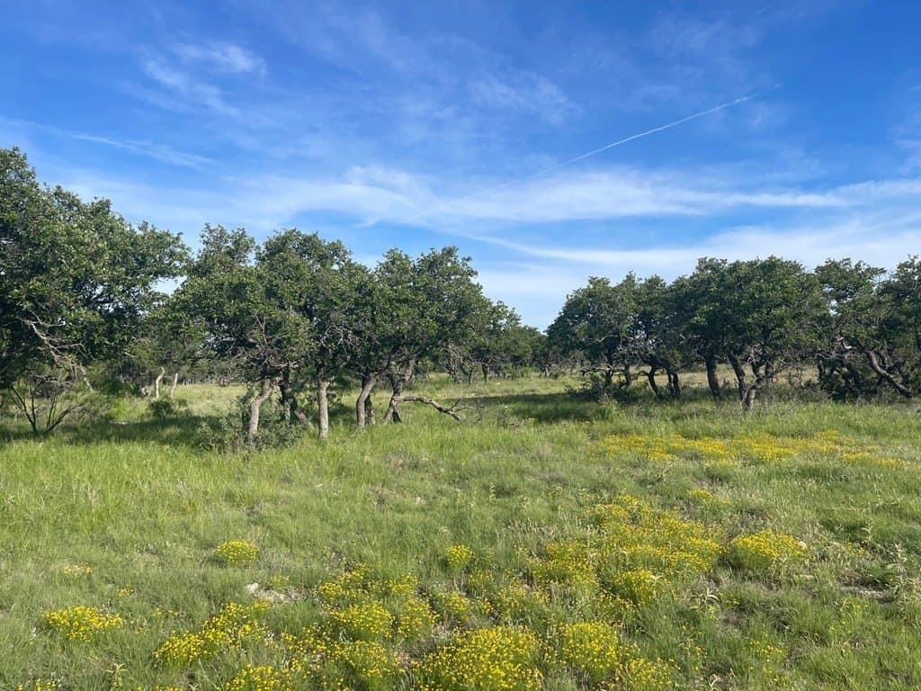 100 acres in Schleicher County - photo 20