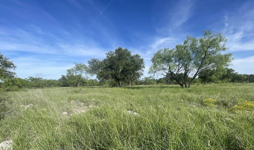 100 acres in Schleicher County - photo 6