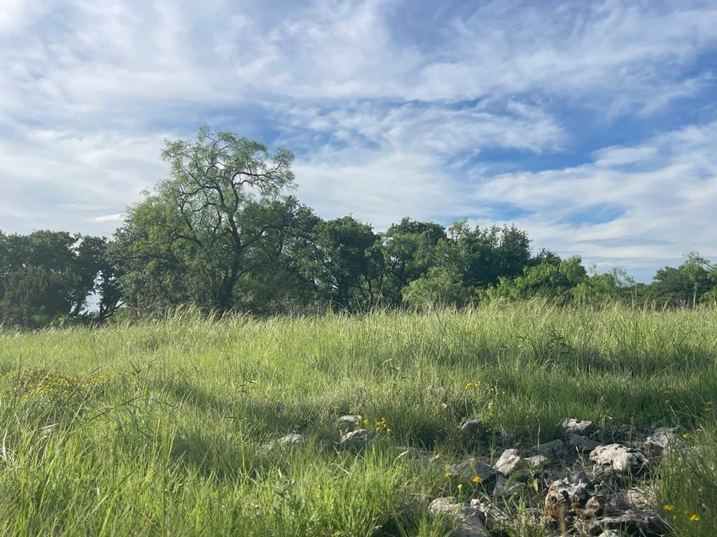 100 acres in Schleicher County - photo 30
