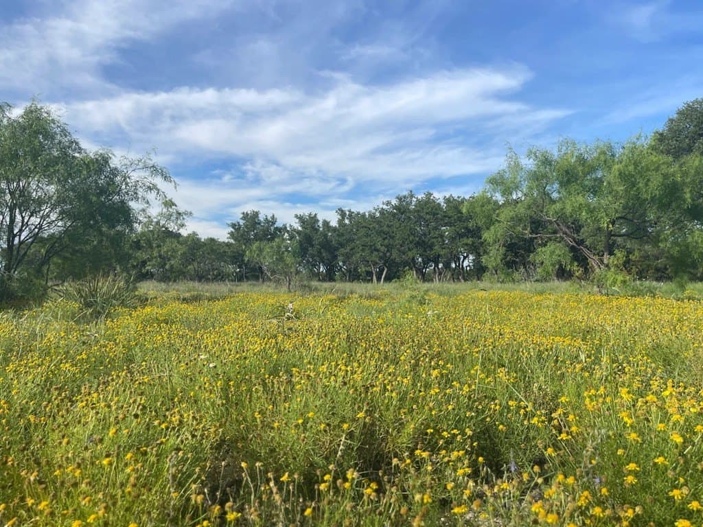 100 acres in Schleicher County - photo 27