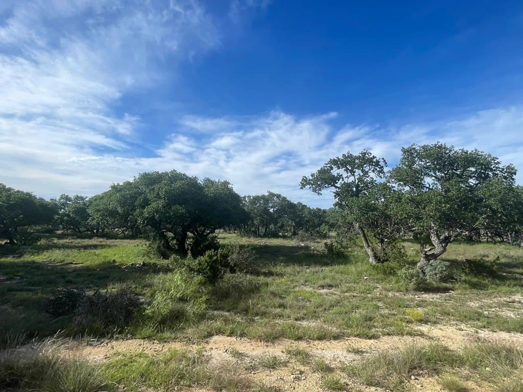 100 acres in Schleicher County - photo 24