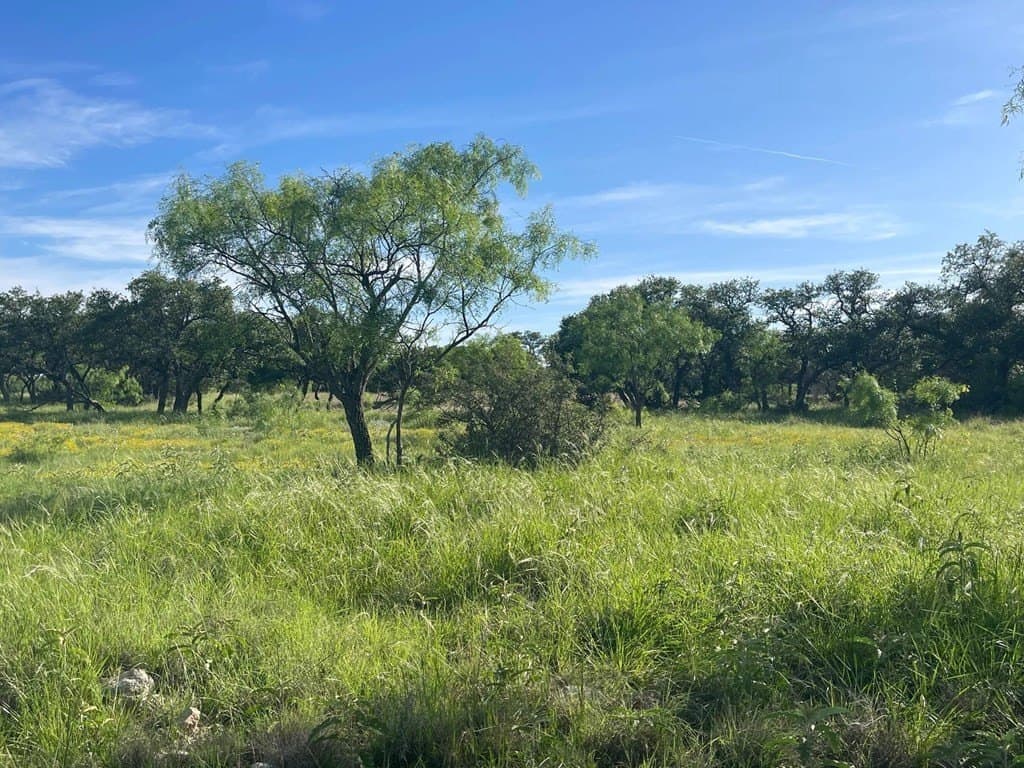 100 acres in Schleicher County - photo 19