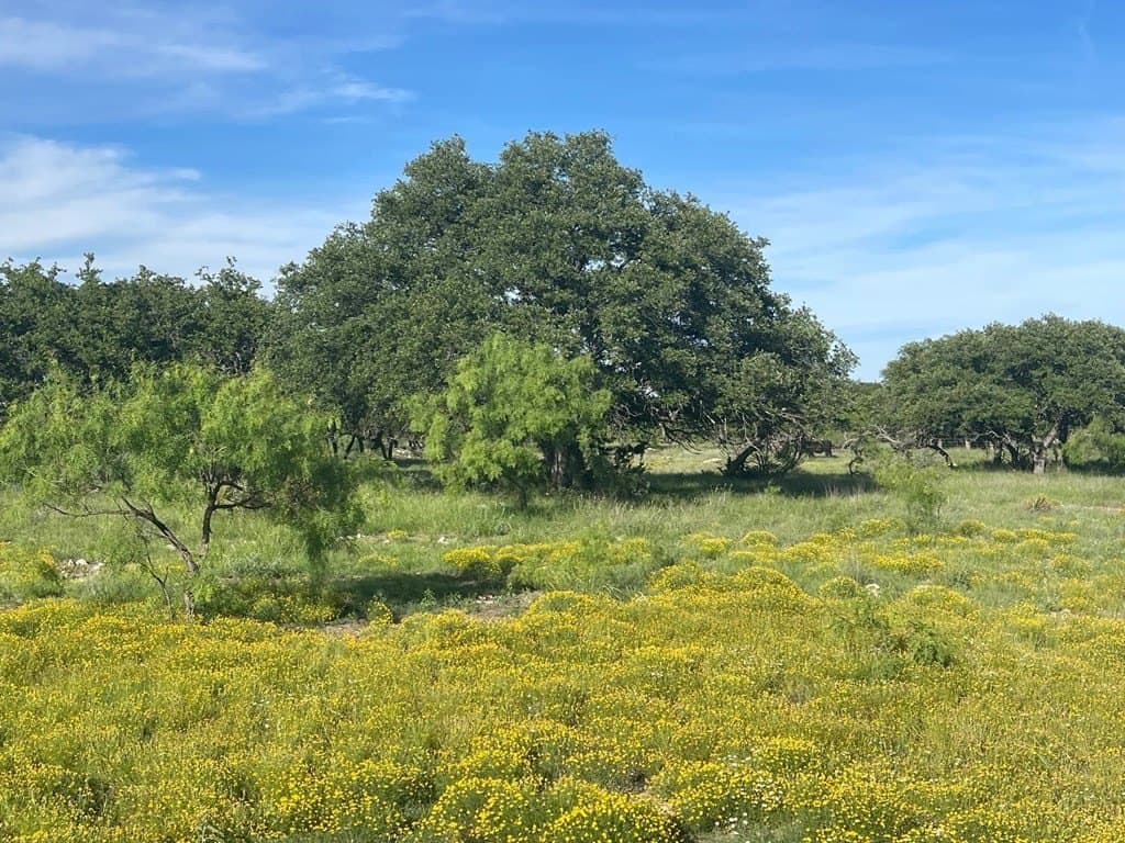 100 acres in Schleicher County - photo 21