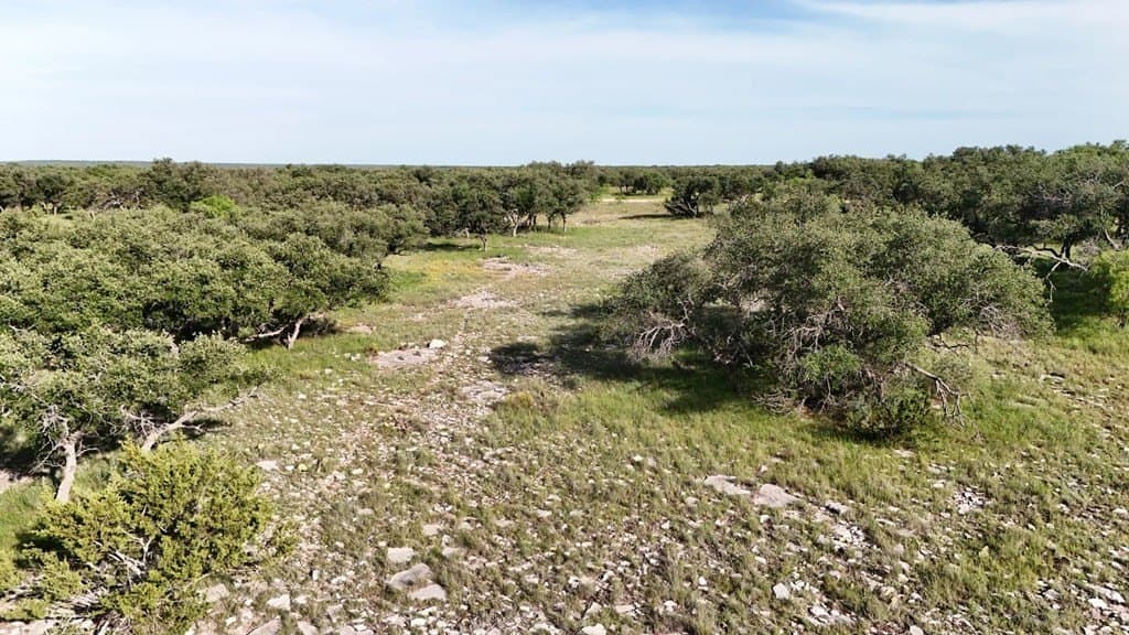 100 acres in Schleicher County - photo 35