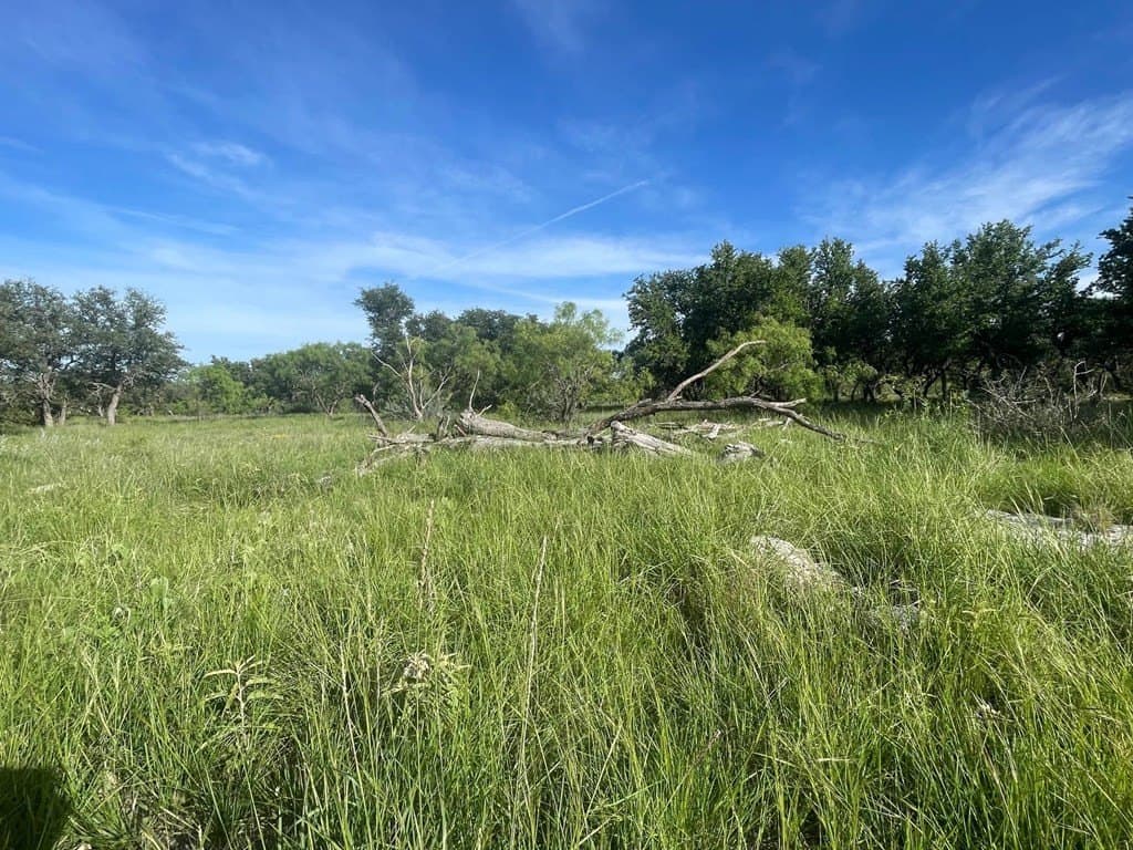 100 acres in Schleicher County - photo 23