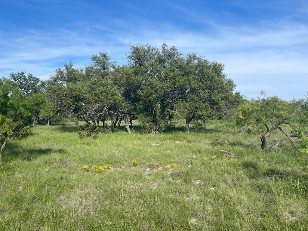 100 acres in Schleicher County - photo 3