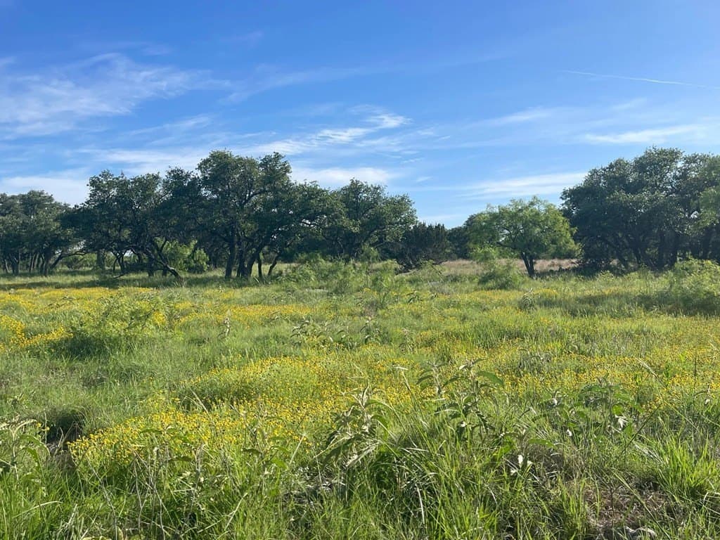 100 acres in Schleicher County - photo 31