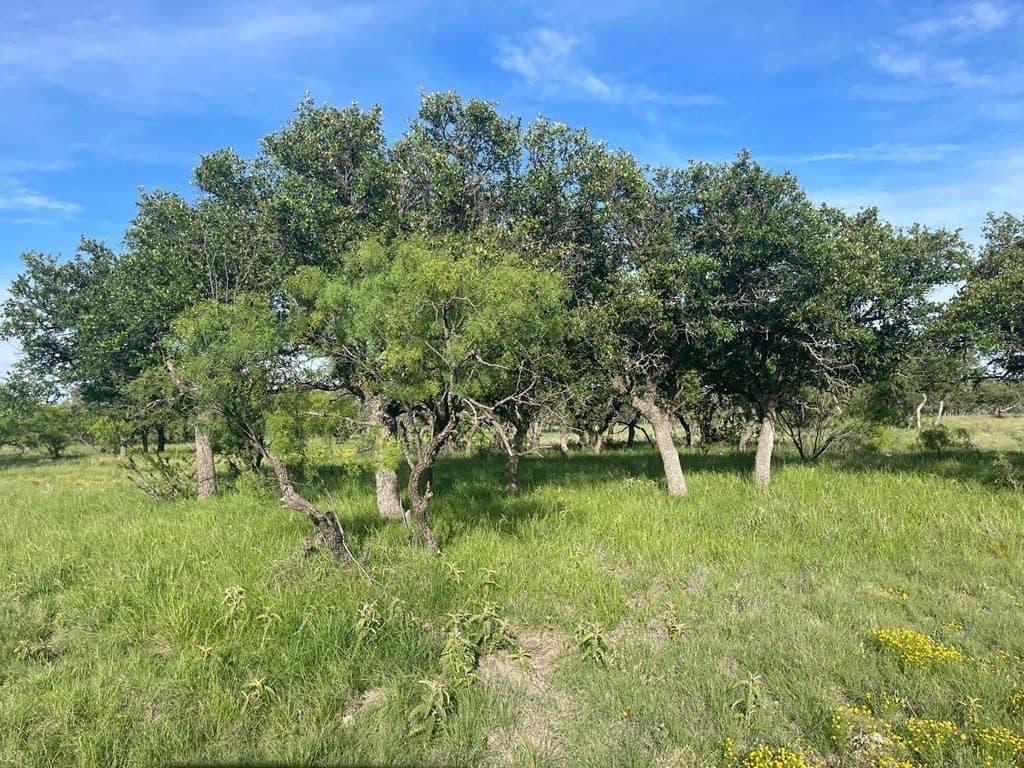 100 acres in Schleicher County - photo 4