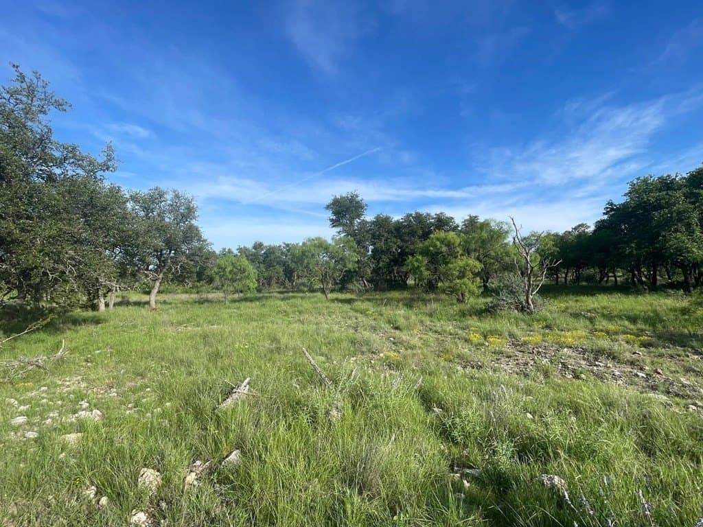 100 acres in Schleicher County - photo 32