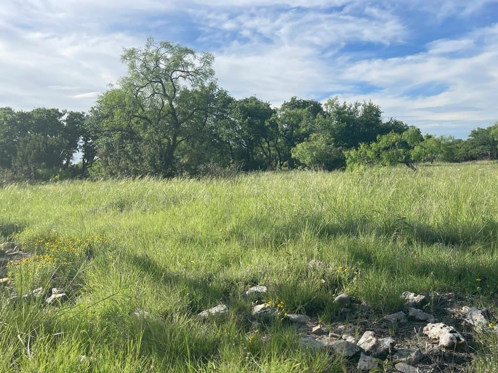 100 acres in Schleicher County - photo 28