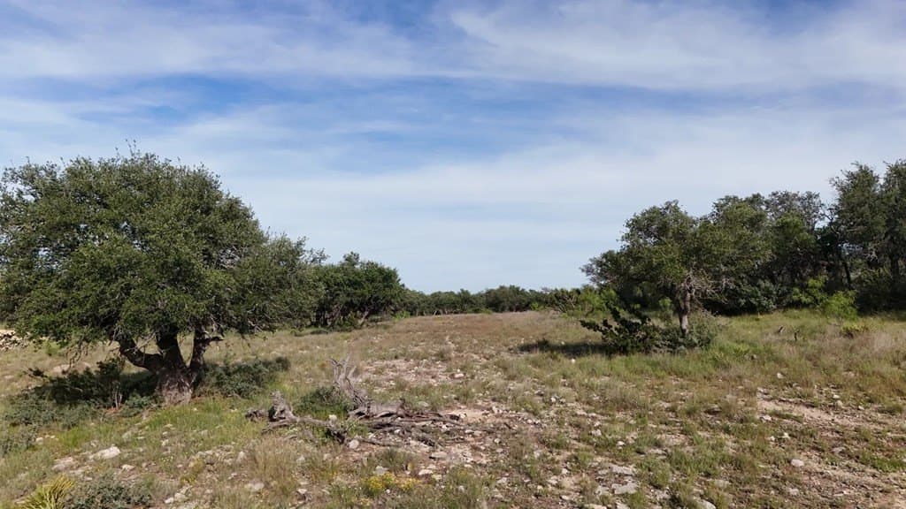 100 acres in Schleicher County - photo 34