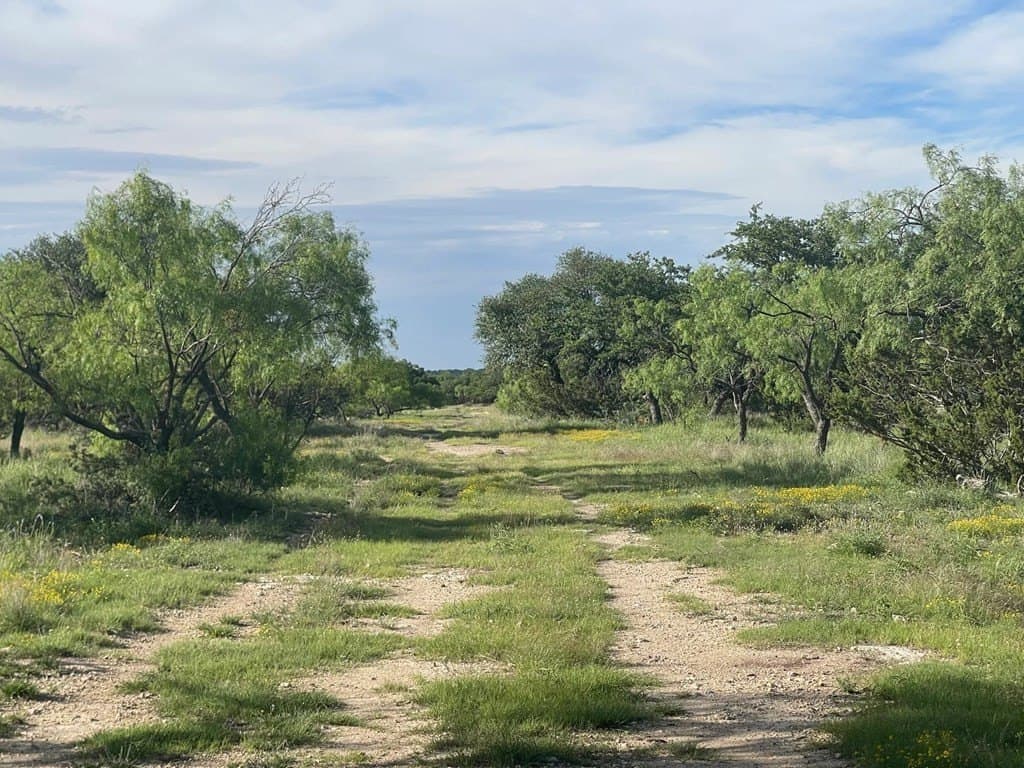 100 acres in Schleicher County - photo 15
