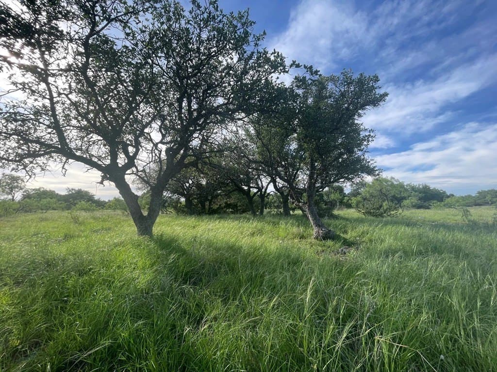100 acres in Schleicher County - photo 11