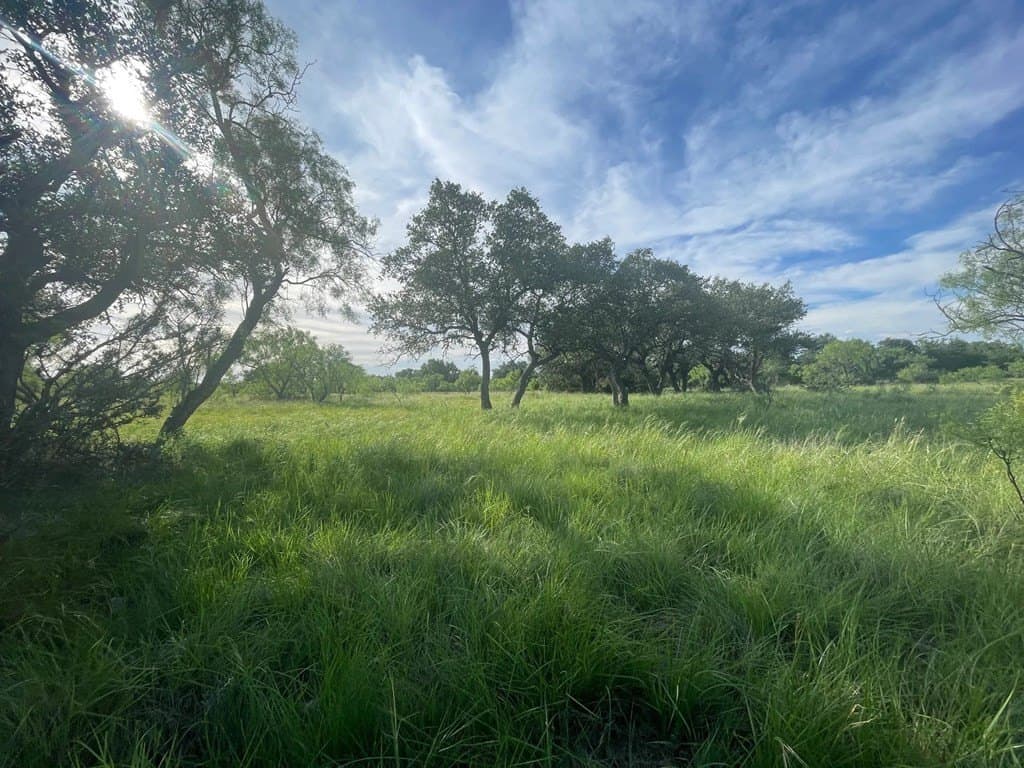 100 acres in Schleicher County - photo 22