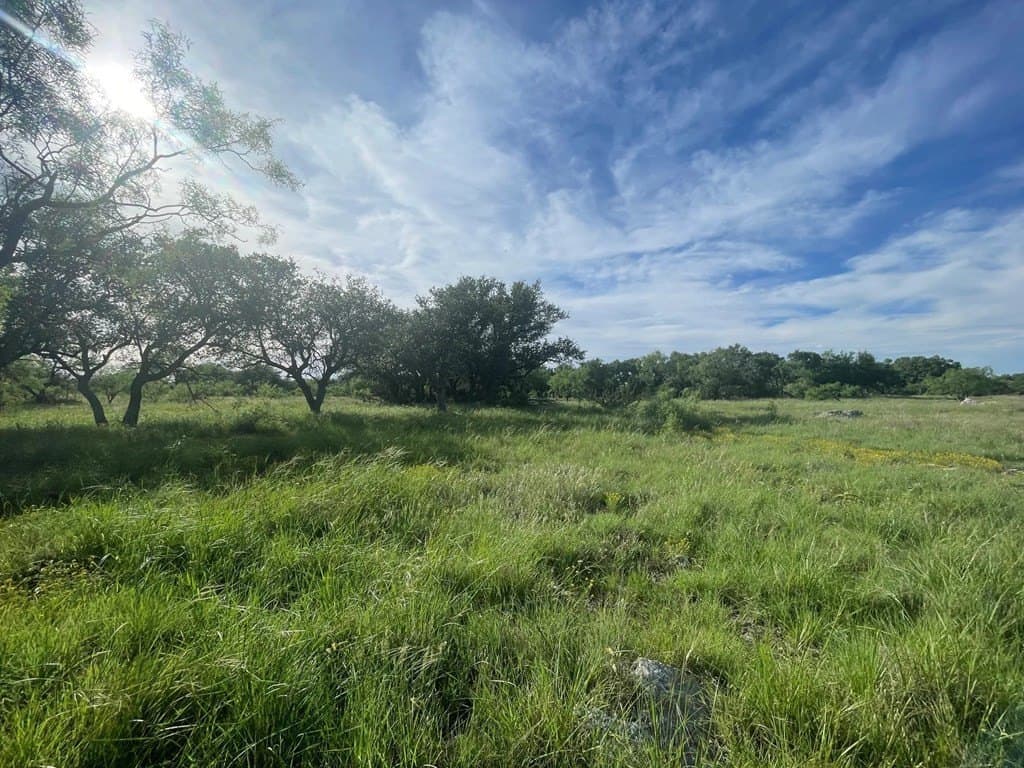100 acres in Schleicher County - photo 9
