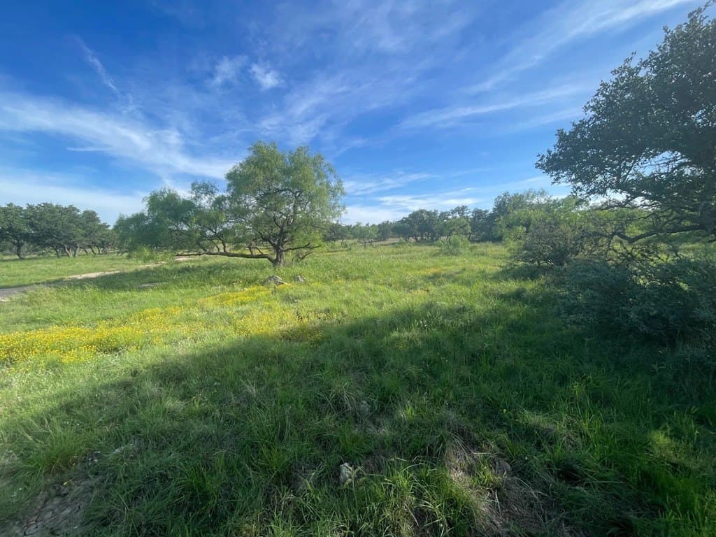 100 acres in Schleicher County - photo 5
