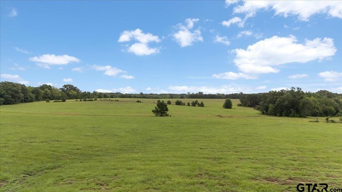 93.3 acres in Upshur County - photo 33