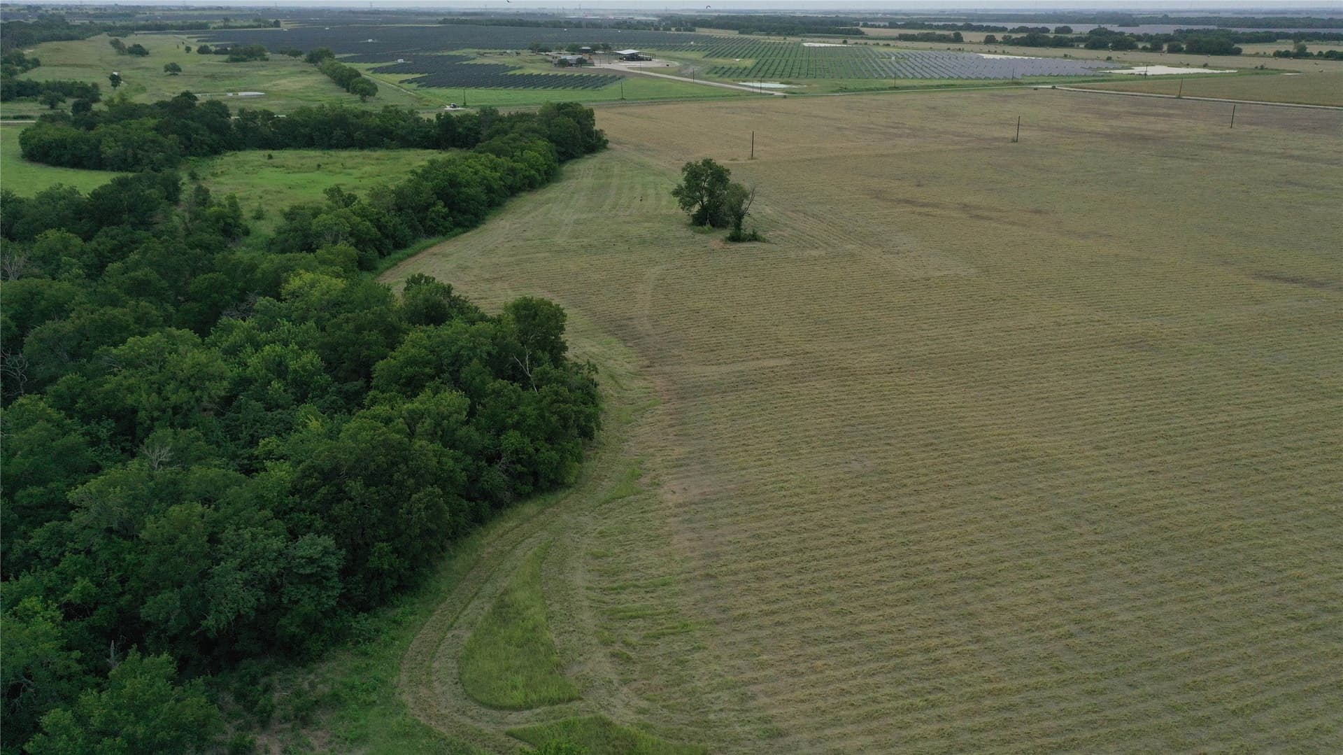 7 acres in Falls County - photo 8