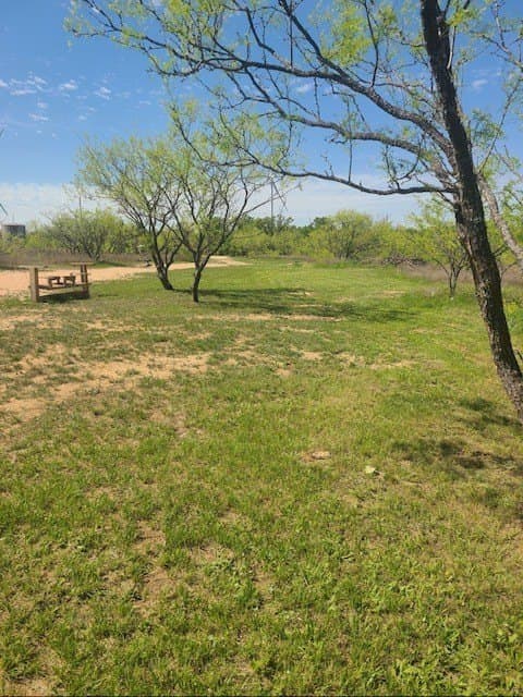40.7 acres in Callahan County featured view