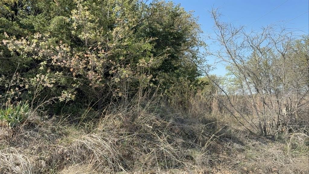 5.3 acres in Montague County featured view