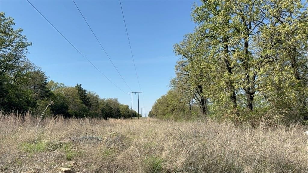 5.3 acres in Montague County gallery image 4