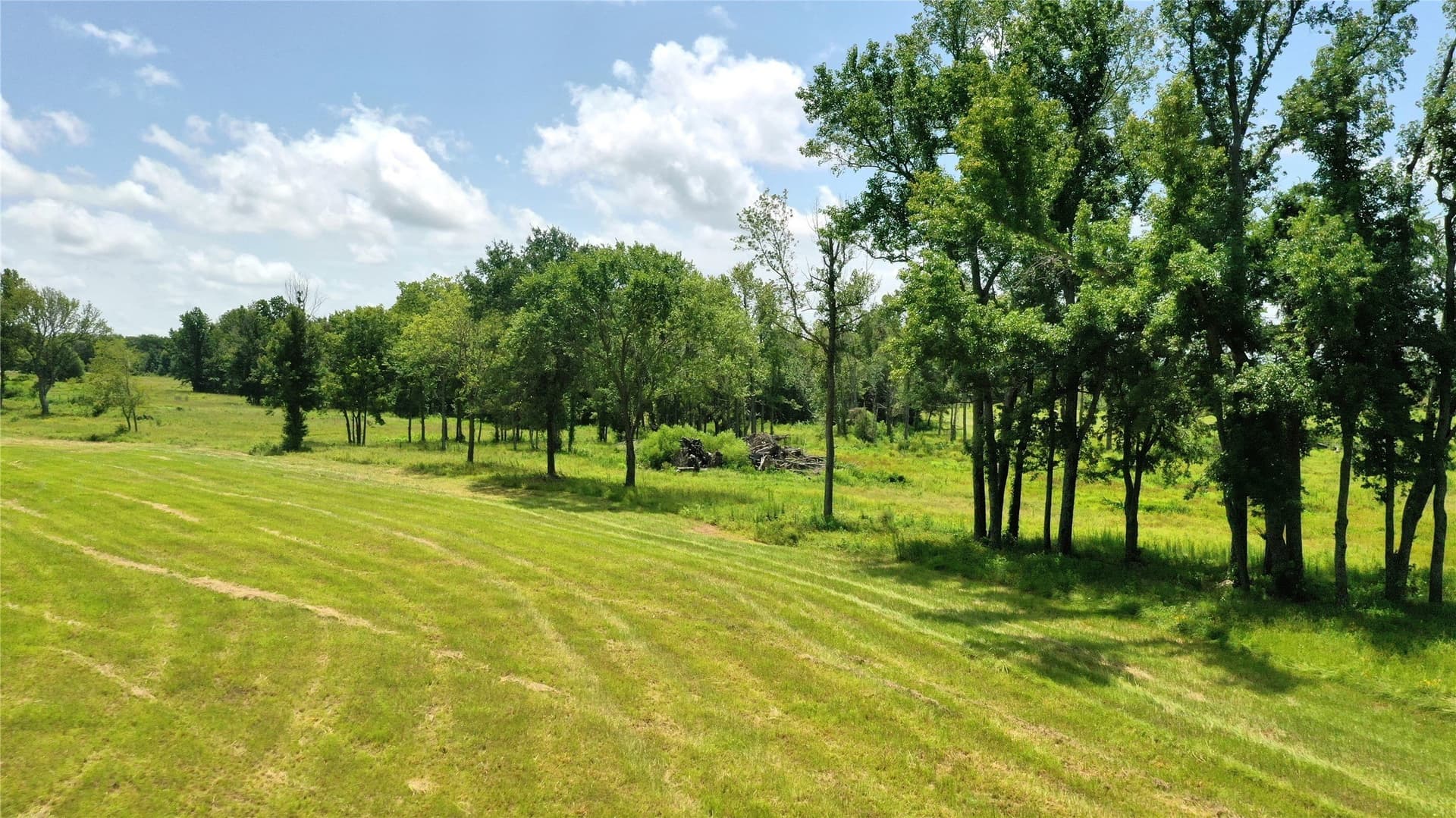100.79 acres in Van Zandt County - photo 7