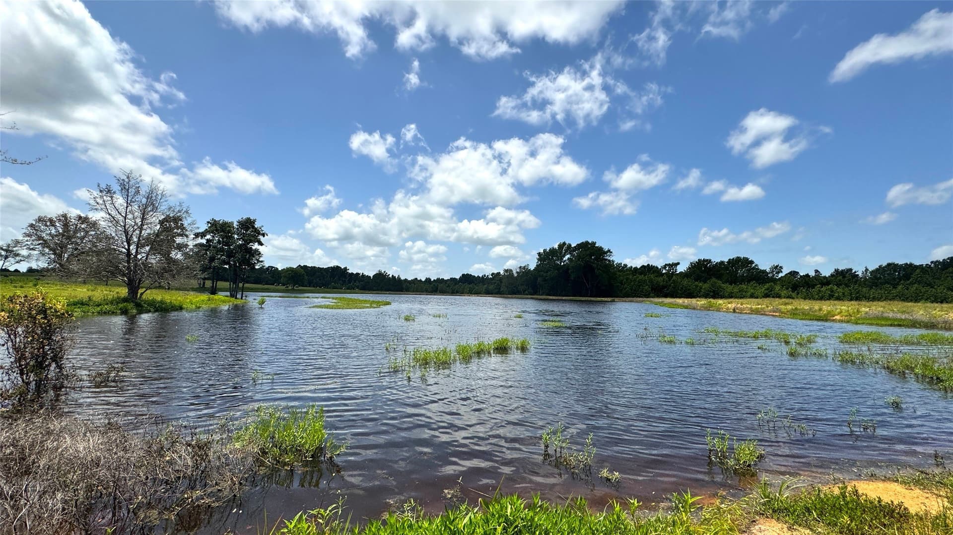 100.79 acres in Van Zandt County - photo 22