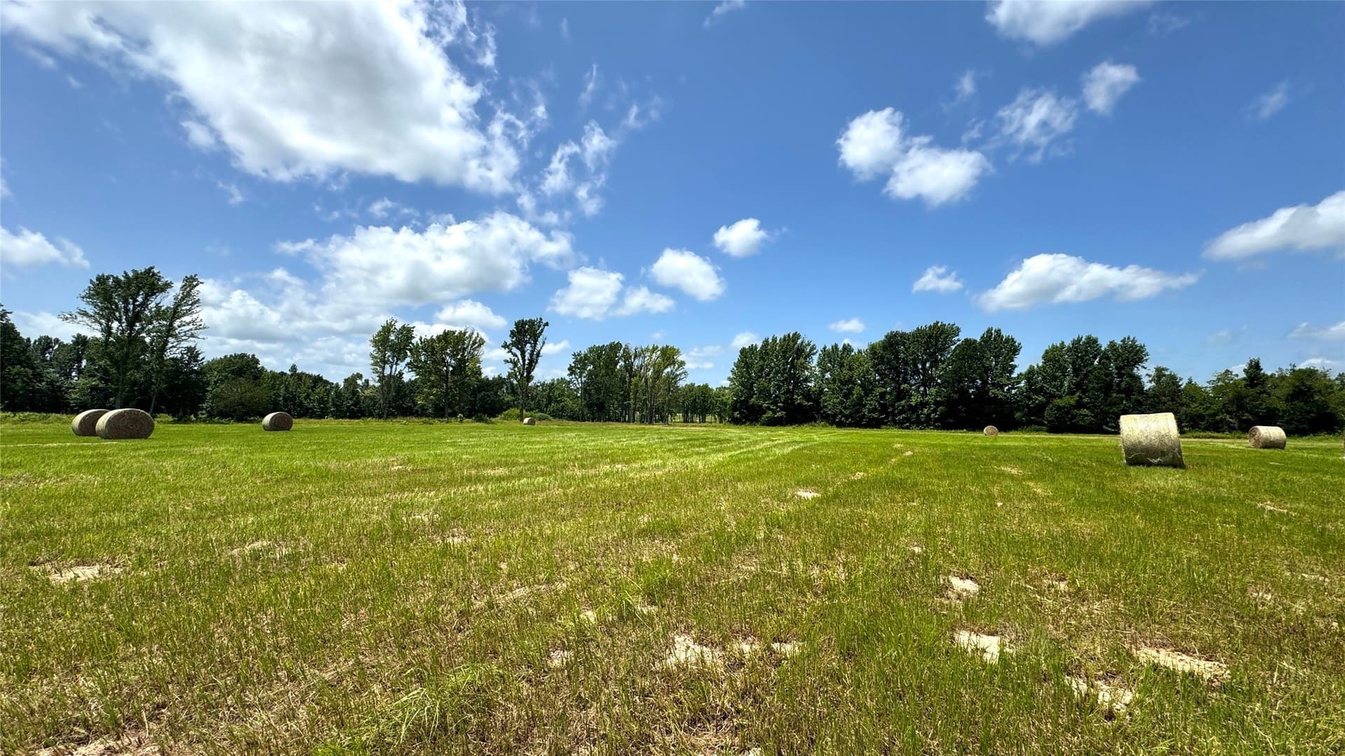 100.79 acres in Van Zandt County - photo 18