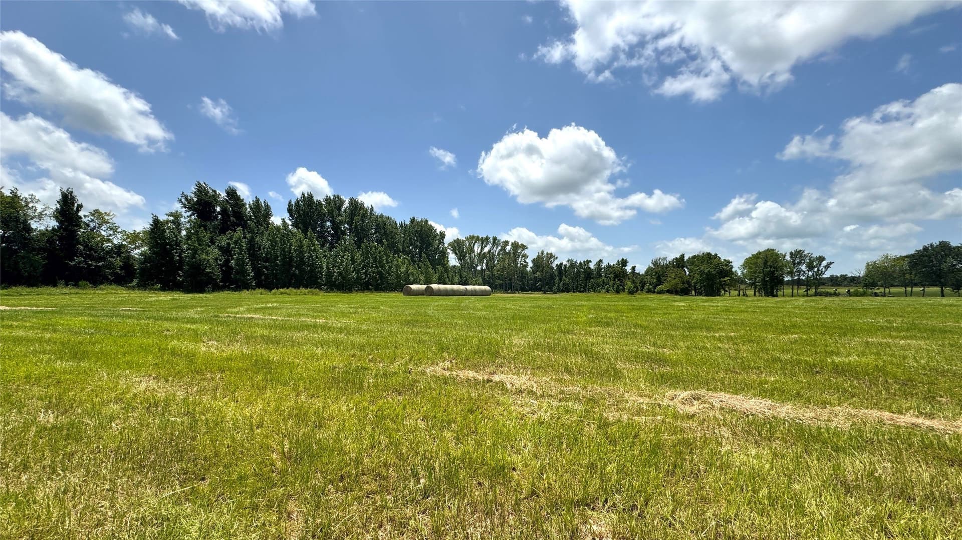 100.79 acres in Van Zandt County - photo 21