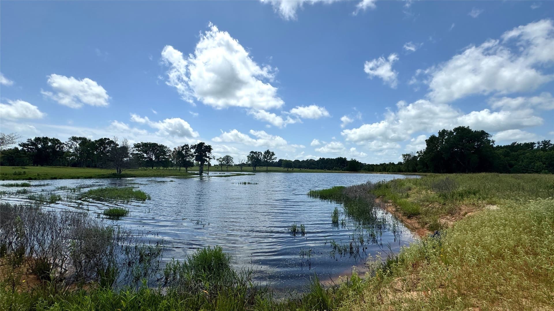 100.79 acres in Van Zandt County - photo 23