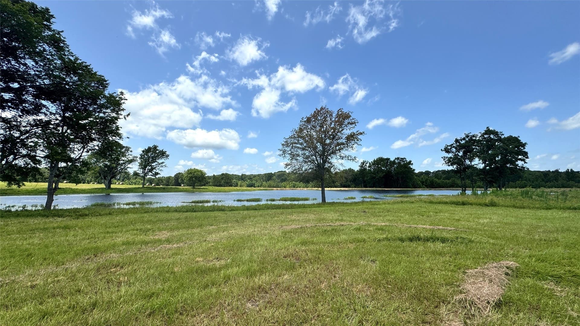 100.79 acres in Van Zandt County - photo 24