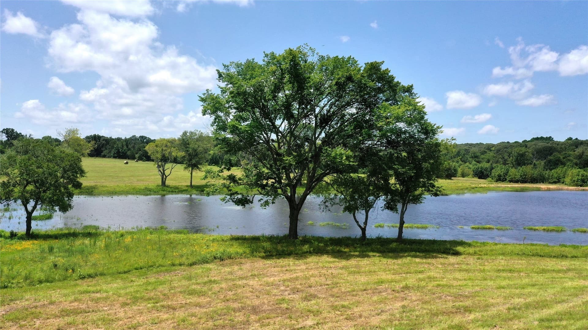 100.79 acres in Van Zandt County gallery image 3