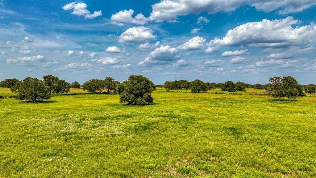 135 acres in Hood County gallery image 2