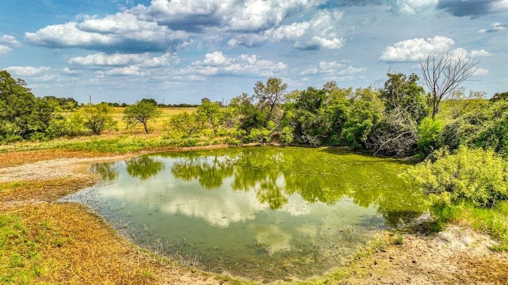 135 acres in Hood County gallery image 3