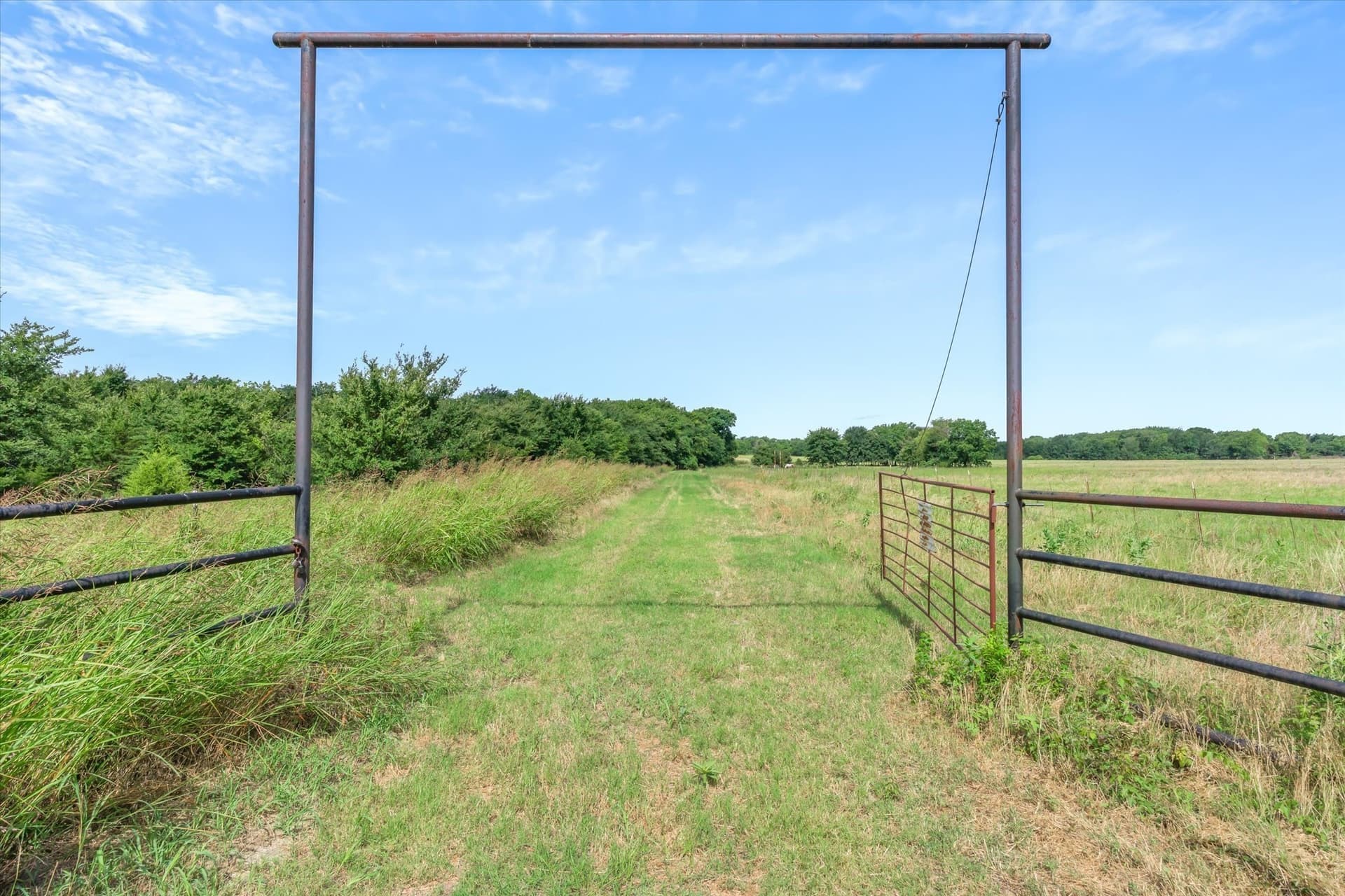 221.42 acres in Rains County gallery image 3