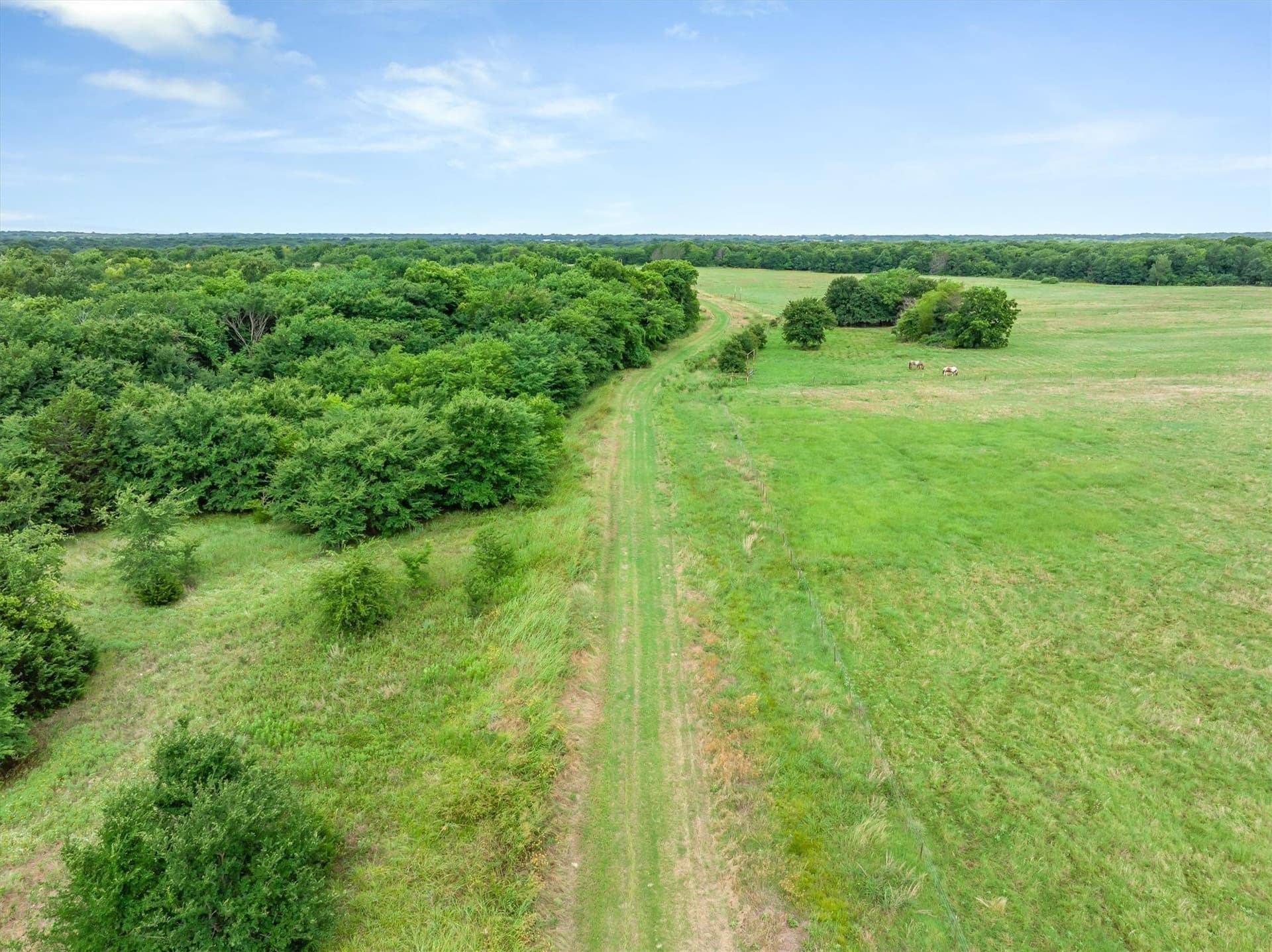 221.42 acres in Rains County featured view