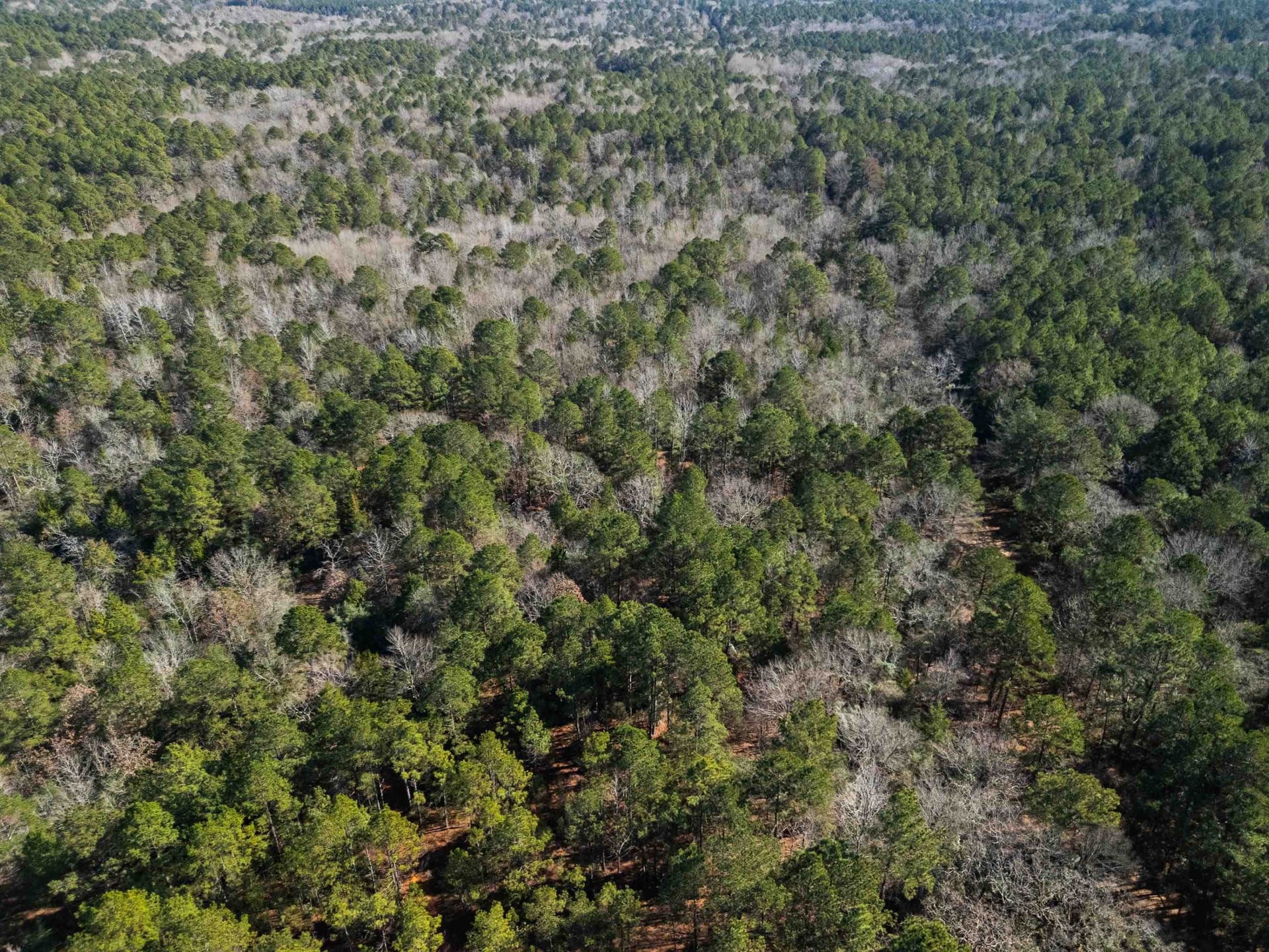 33.5 acres in Rusk County featured view