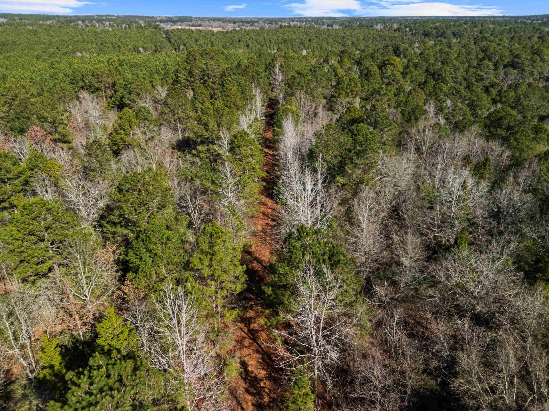 33.5 acres in Rusk County gallery image 3