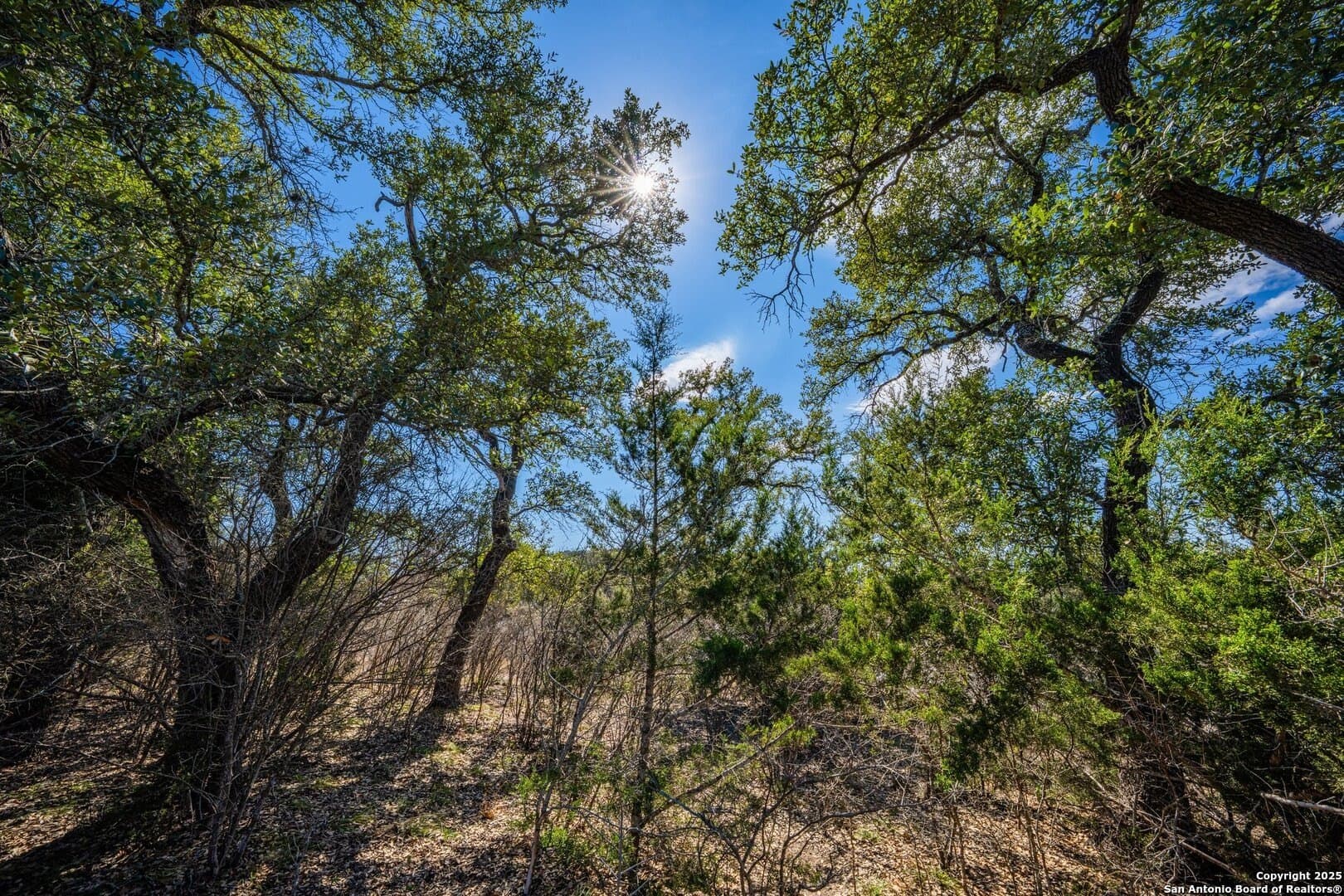 37.88 acres in Kerr County - photo 19