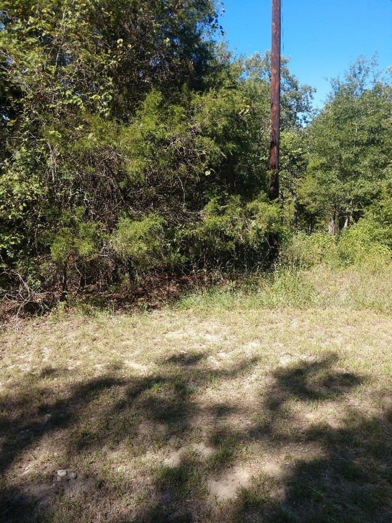 0.35 acres in Henderson County featured view