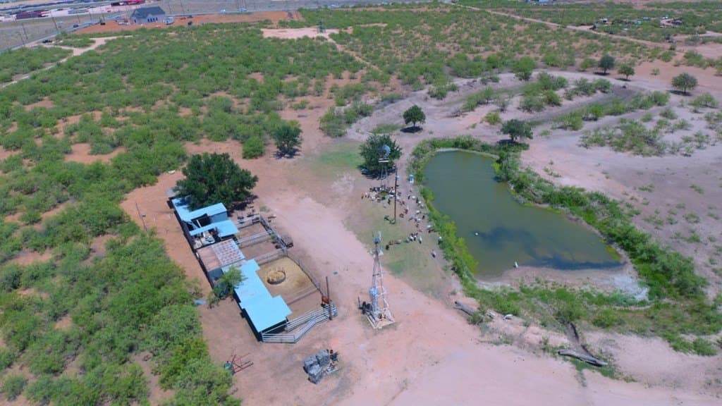 121.9 acres in Midland County - photo 14