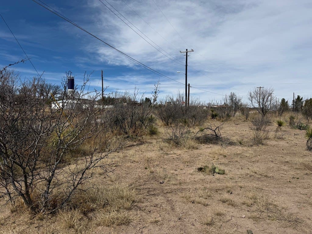 0.32 acres in Presidio County gallery image 3
