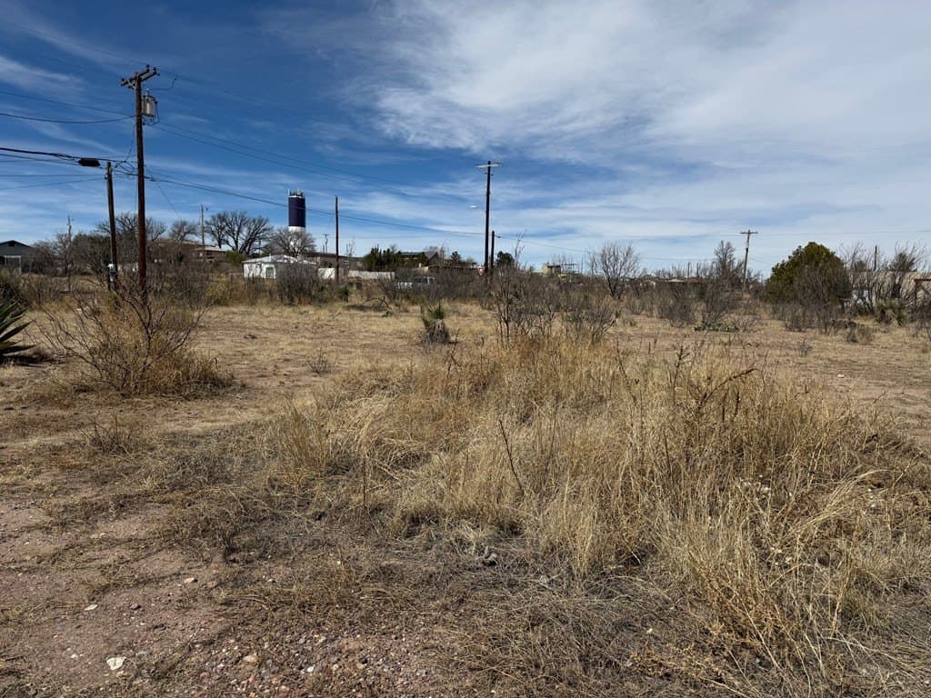 0.32 acres in Presidio County gallery image 4
