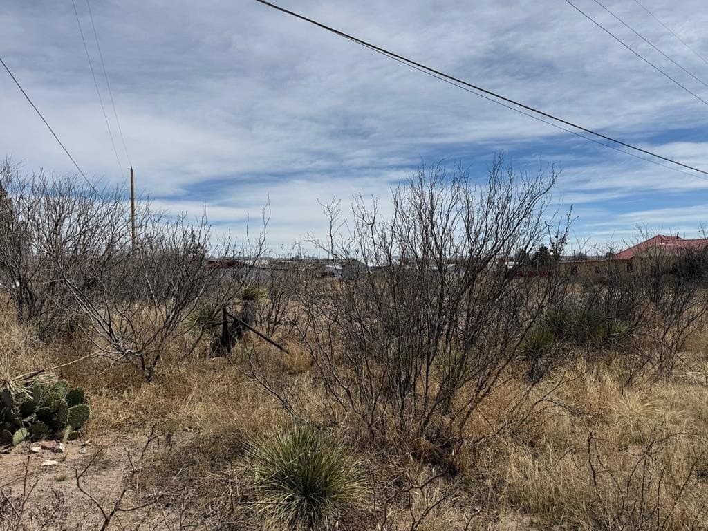 0.32 acres in Presidio County - photo 6