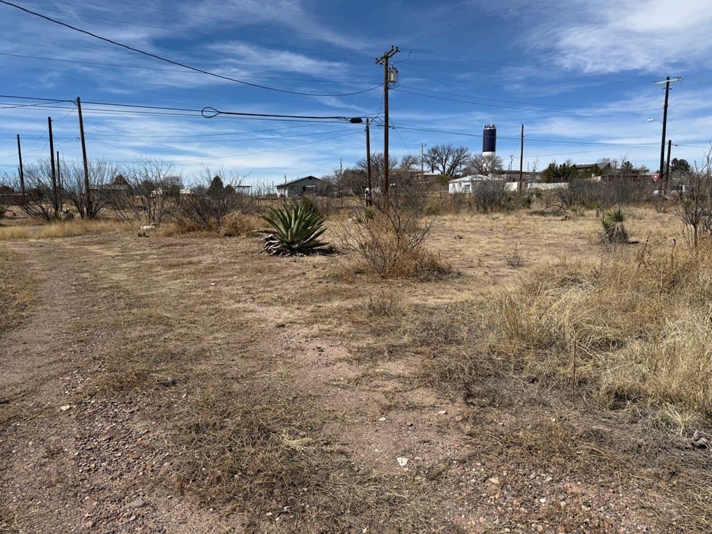 0.32 acres in Presidio County featured view