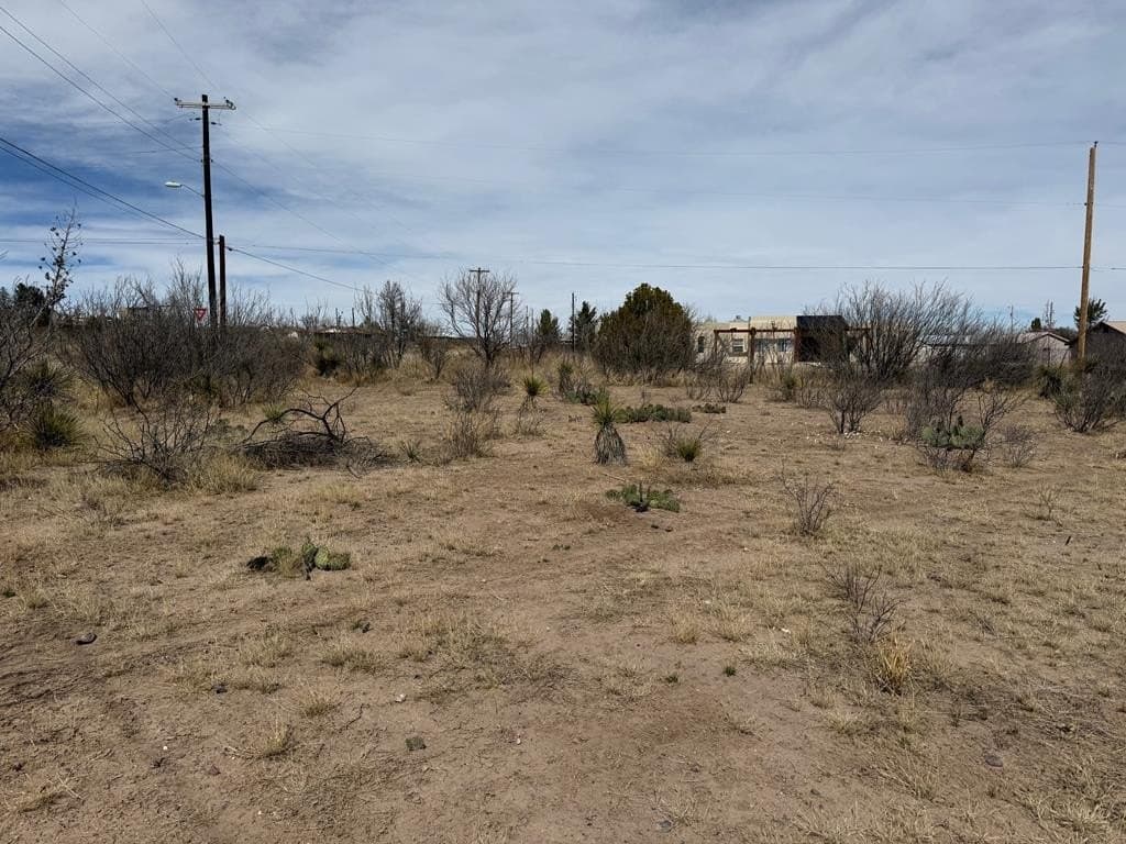 0.32 acres in Presidio County - photo 7